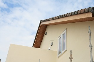 IMG_3616.jpg