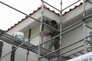 IMG_4528.jpg