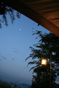 IMG_4161.jpg