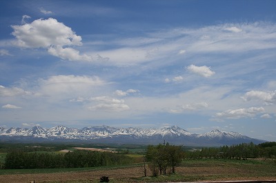 IMG_4461.jpg