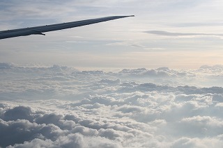 IMG_4480.jpg