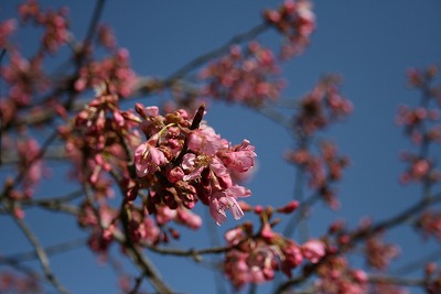 IMG_7364.jpg