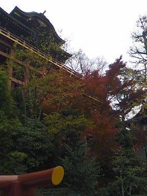 SN3C0143.jpg